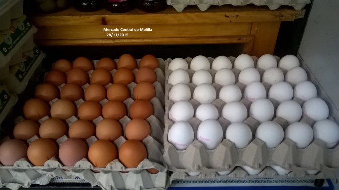 Huevos blancos y morenos
